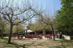 Terraza-en-Primavera