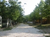 100-0078_IMG