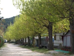 Parcelas Camping Prados Abiertos